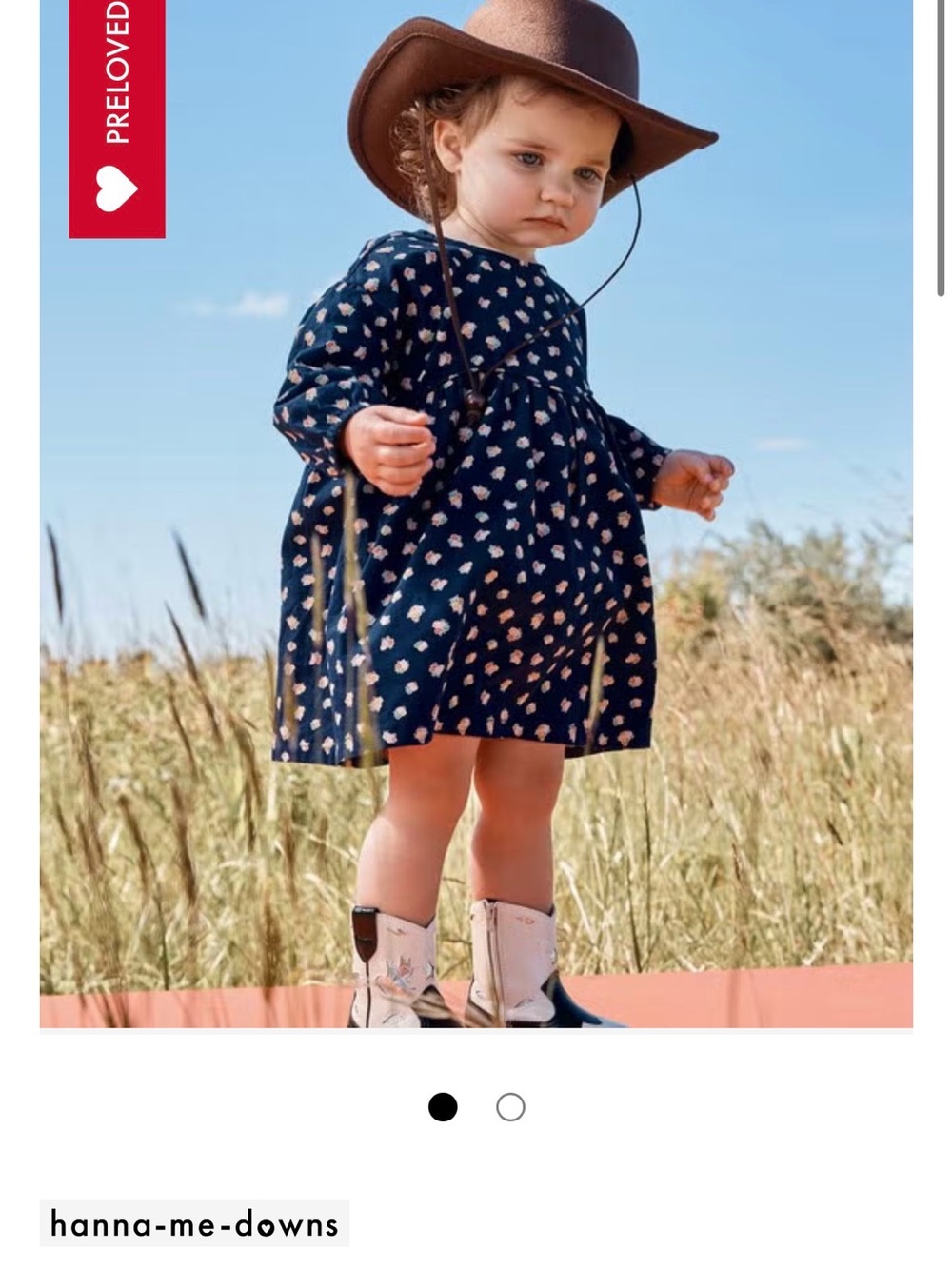 Hanna Anderson Navy Floral Poplin Dress & Bloomers 18-24mos